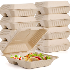 Bagasse Takeout Containers